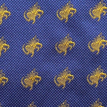 Load image into Gallery viewer, Silk Tie: Shirokhorshid
