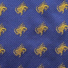 Load image into Gallery viewer, Silk Tie: Shirokhorshid
