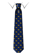 Load image into Gallery viewer, Silk Tie: Shirokhorshid
